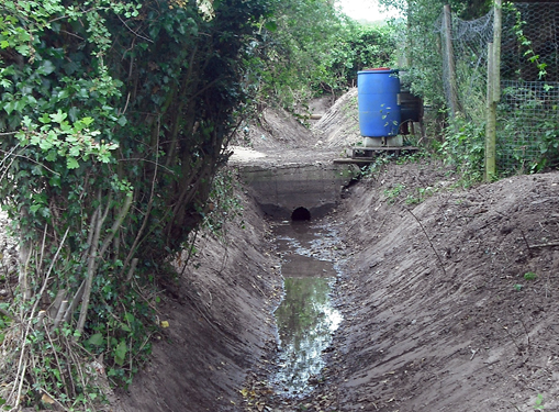 Site Clearance